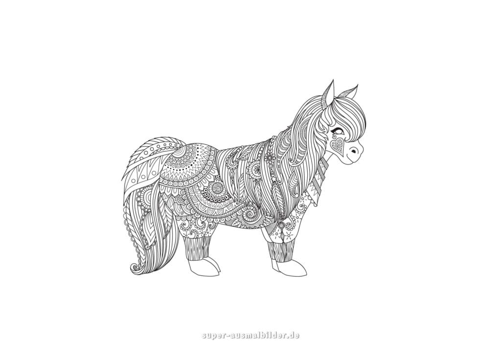 Pony Mandala Ausmalbild – kleines Pferd Mandala mit langen Haaren, detailreiche Malvorlage zum Ausmalen für Kinder und Erwachsene