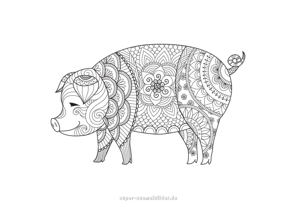 Schwein Mandala Ausmalbild – Tier Mandala Schwein mit Blumenmustern, Mandala Malvorlage zum Ausmalen, kostenlose Ausmalbilder Mandala Tiere