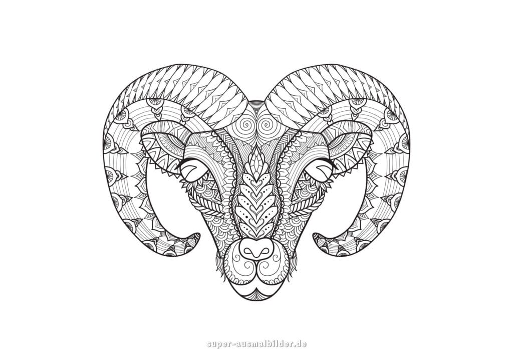 Widder Mandala Ausmalbild – Mandala Kopf Widder mit großen Hörnern, Tier Mandala Malvorlage für Erwachsene, kostenlose Ausmalbilder Mandala Tiere