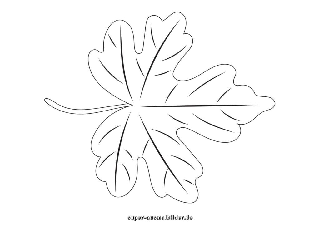Ahornblatt Malvorlage – großes Herbstblatt mit fünf Spitzen, einfache Druckvorlage zum kostenlosen Ausmalen