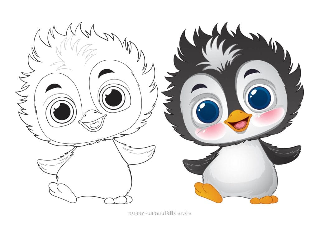 Baby Pinguin mit großen Augen – niedliche Malvorlage mit Vorher Nachher Vergleich in Farbe und Schwarz Weiß
