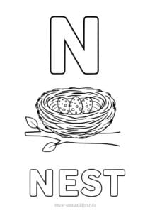 Buchstabe N Ausmalbilder und Schreibübungen für Kinder
