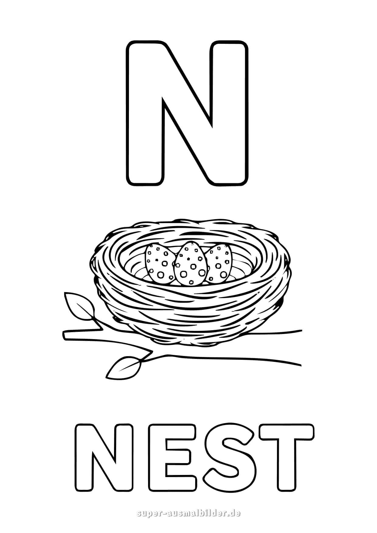 Buchstabe N Ausmalbild – Vogelnest mit Eiern auf Zweig, Buchstaben zum Ausdrucken und Ausmalen, kostenlos für Kinder