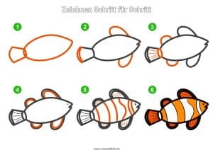 Clownfisch zeichnen lernen Schritt für Schritt