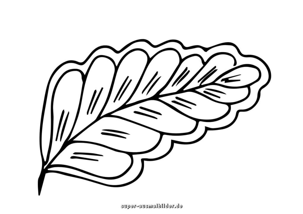 Dekoratives Blatt Malvorlage – künstlerisch gezeichnetes Blatt mit Wellenrand, kostenlose Ausmalbilder für Kinder