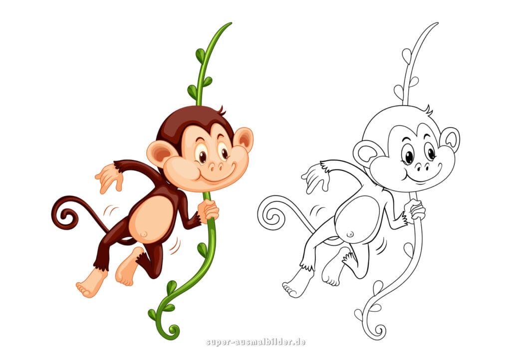Dschungel Ausmalbild Affe – kletternder Affe mit Liane, Malvorlage zum Drucken für Kinder kostenlos