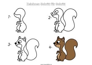 Eichhörnchen zeichnen lernen Schritt für Schritt