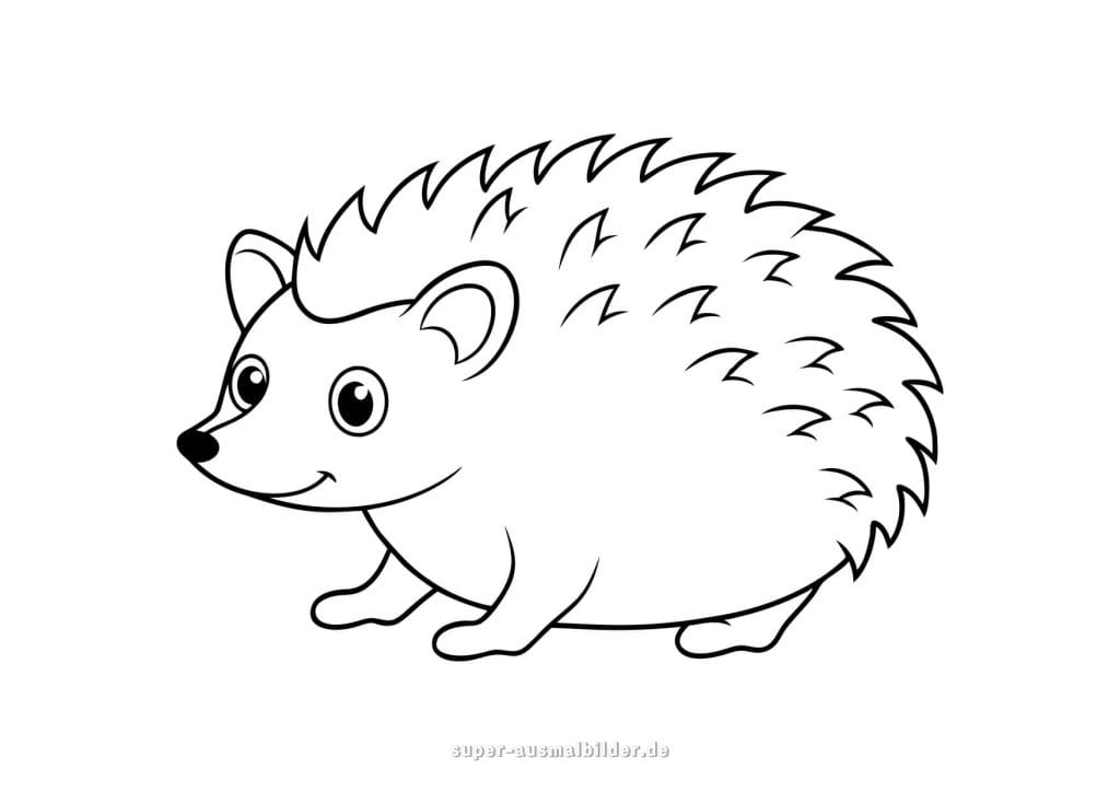 Einfache Igel Ausmalbilder – klassischer Igel mit großen Augen, kostenlose Malvorlage für Kinder und Vorschüler
