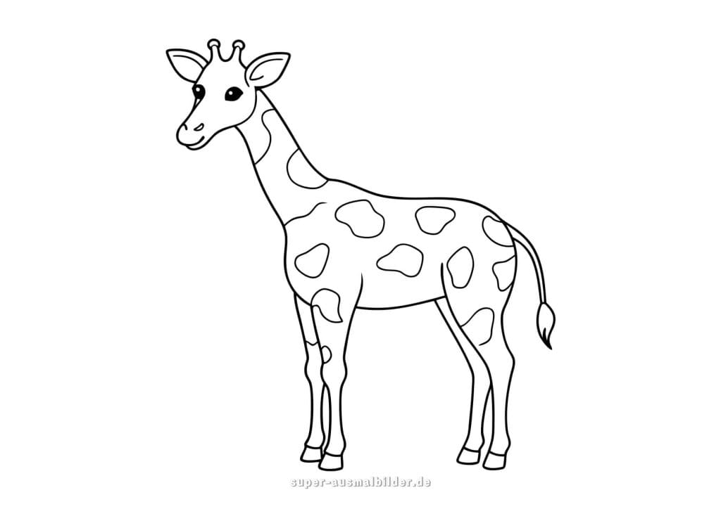 Giraffe Ausmalbild – einfache Giraffenzeichnung für Vorschulkinder, ideal zum Malen und Lernen über Tiere in Afrika, kostenlos zum Herunterladen