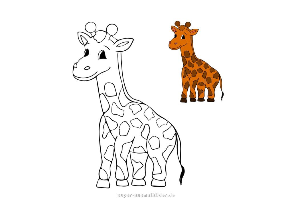 Giraffe Ausmalbild – kleine Giraffe zum Ausmalen mit Beispiel in Farbe, einfache Malvorlage für Kinder zum kostenlosen Download