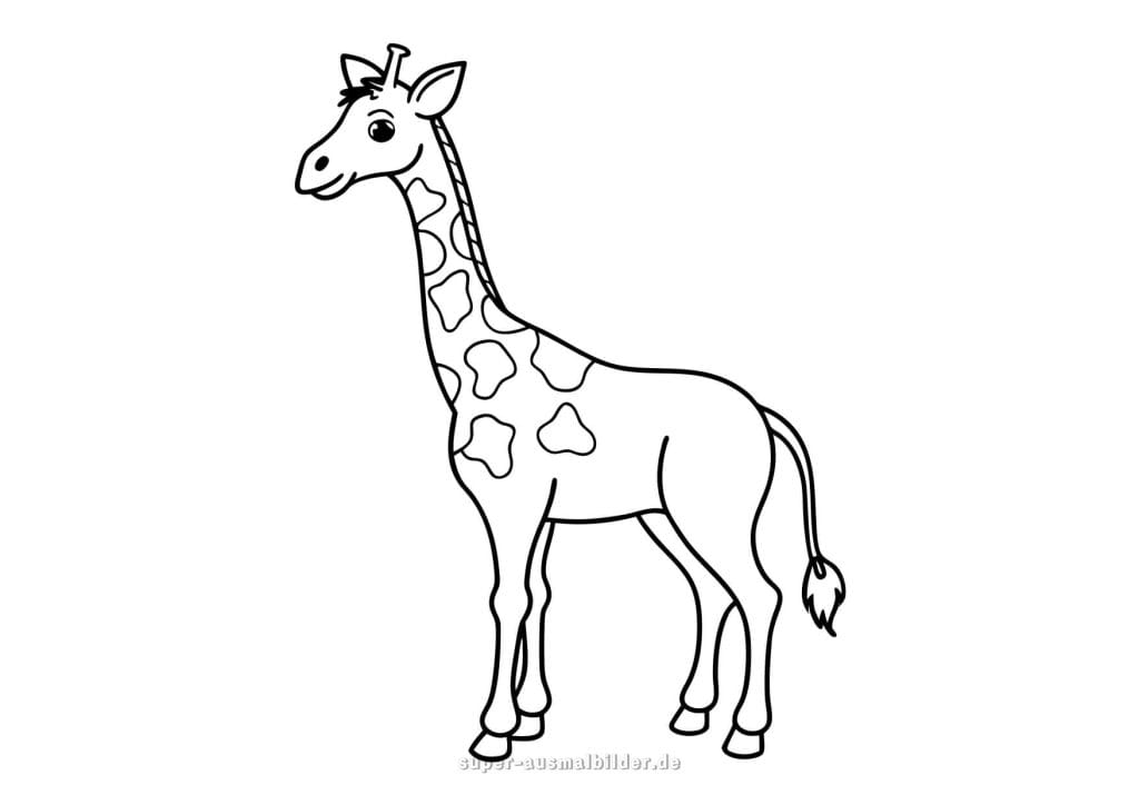 Giraffe Malvorlage – stehende Giraffe mit langen Beinen und Flecken, kostenlose Ausmalvorlage für Kinder und Erwachsene