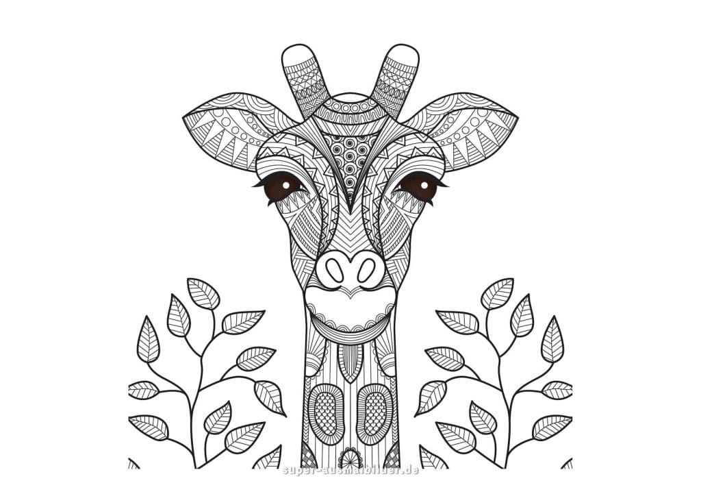 Giraffe Mandala – detailliertes Ausmalbild eines Giraffenkopfes mit kunstvollen Mustern für Erwachsene und Teenager