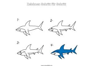 Hai zeichnen lernen Schritt für Schritt