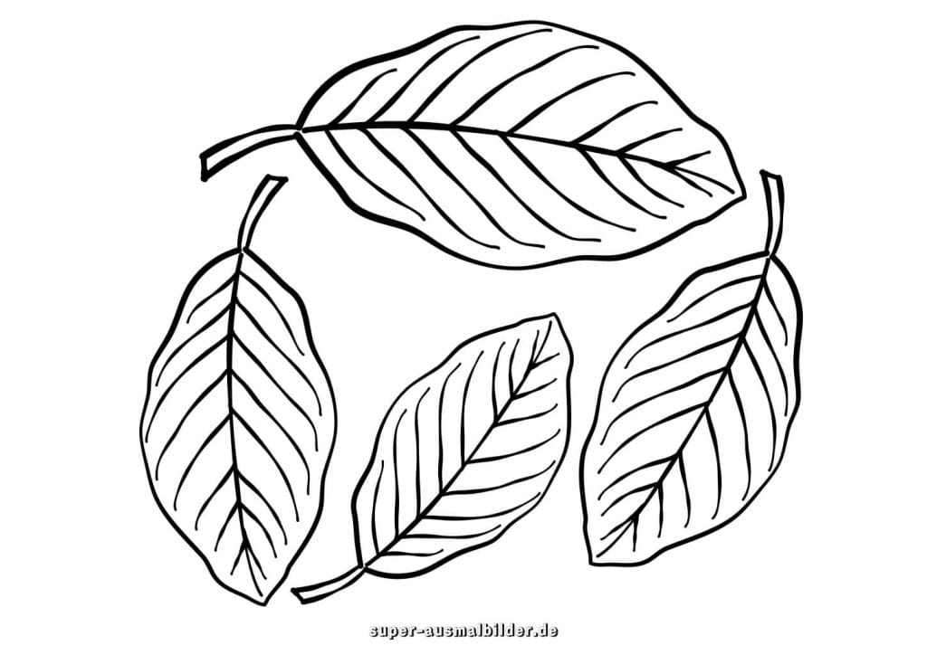 Herbstblätter Kreis Malvorlage – vier längliche Blätter im Kreis, kostenlose Druckvorlage für Kinder