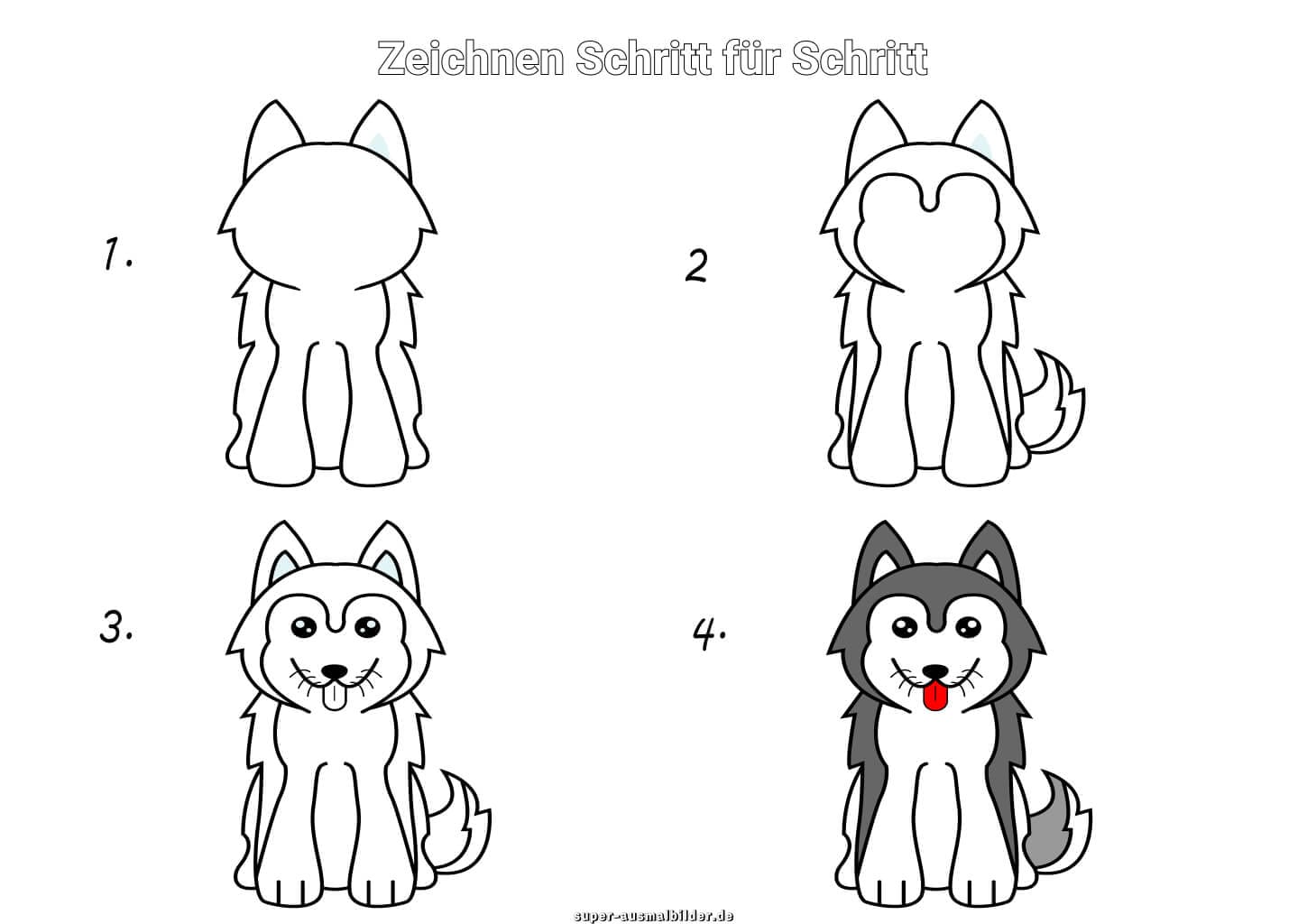 Husky zeichnen Schritt für Schritt – einfache Anleitung für Kinder mit süßem grauen Hund