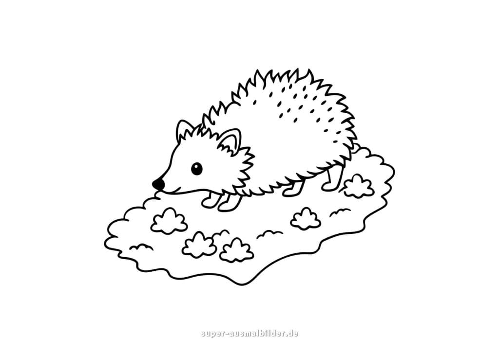 Igel auf der Wiese – einfacher Igel auf einer Wiese mit kleinen Pflanzen, kindgerechte Malvorlage für den Herbst
