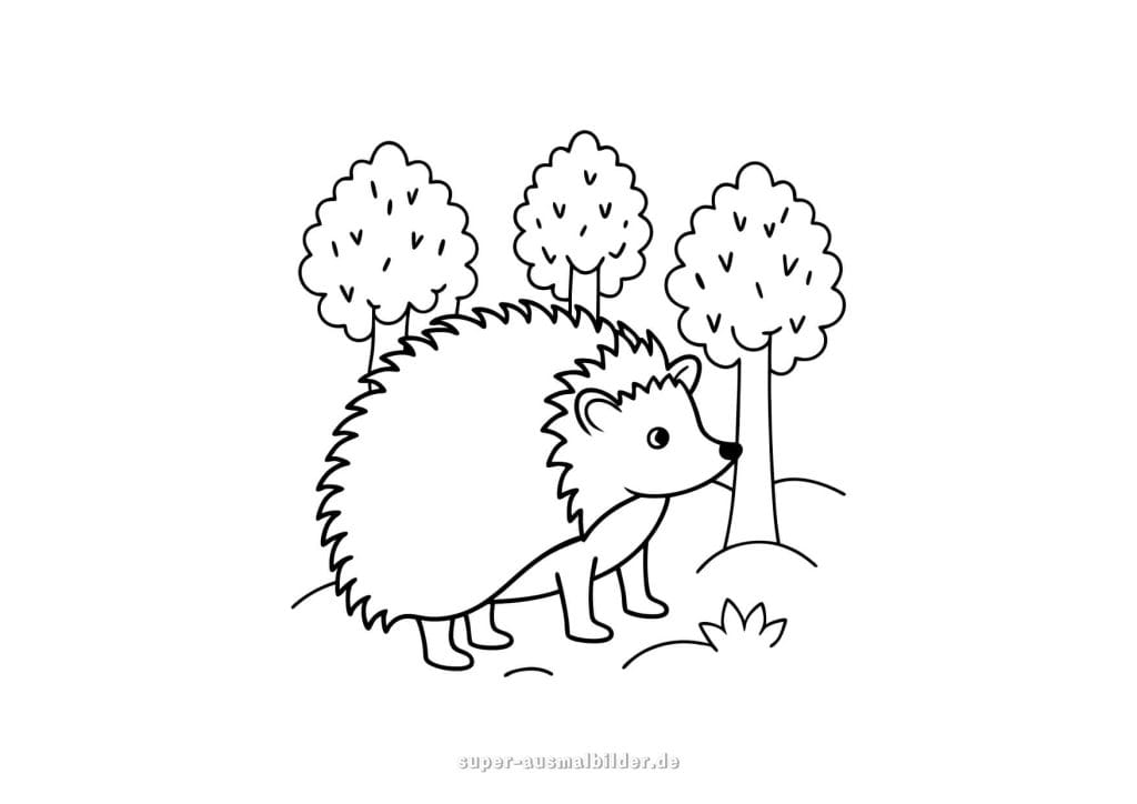 Igel im Wald – einfacher Igel zwischen Bäumen, leichte Ausmalvorlage für Vorschulkinder zum kostenlosen Ausdrucken