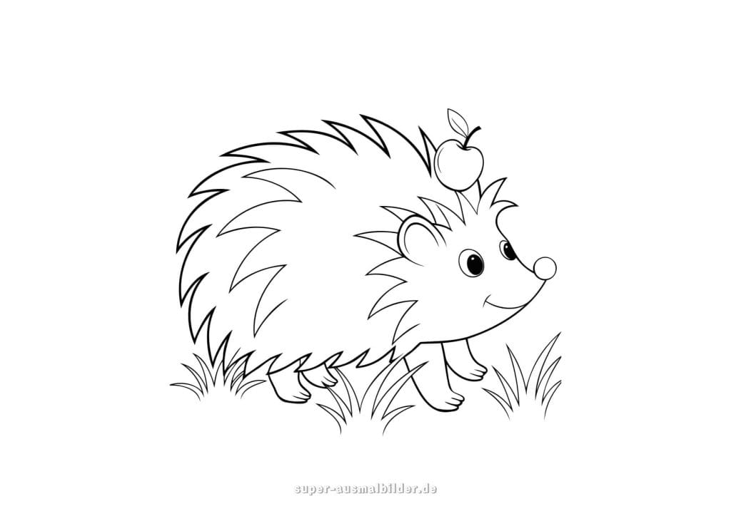 Igel mit Apfel – lustiger Igel trägt Apfel auf dem Rücken, süße und kindgerechte Ausmalvorlage für den Herbst