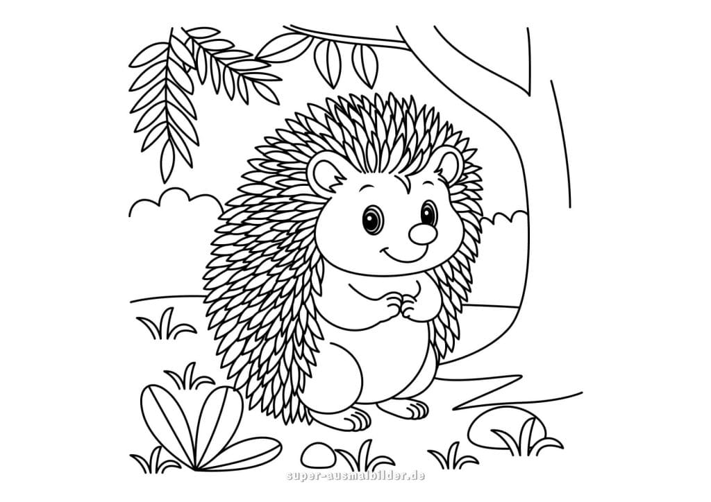 Igel unter dem Baum – süßer Igel steht im Wald, detaillierte Malvorlage mit Pflanzen und Blättern zum Ausmalen
