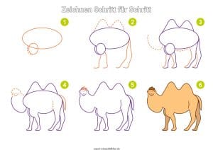 Kamel zeichnen lernen Schritt für Schritt