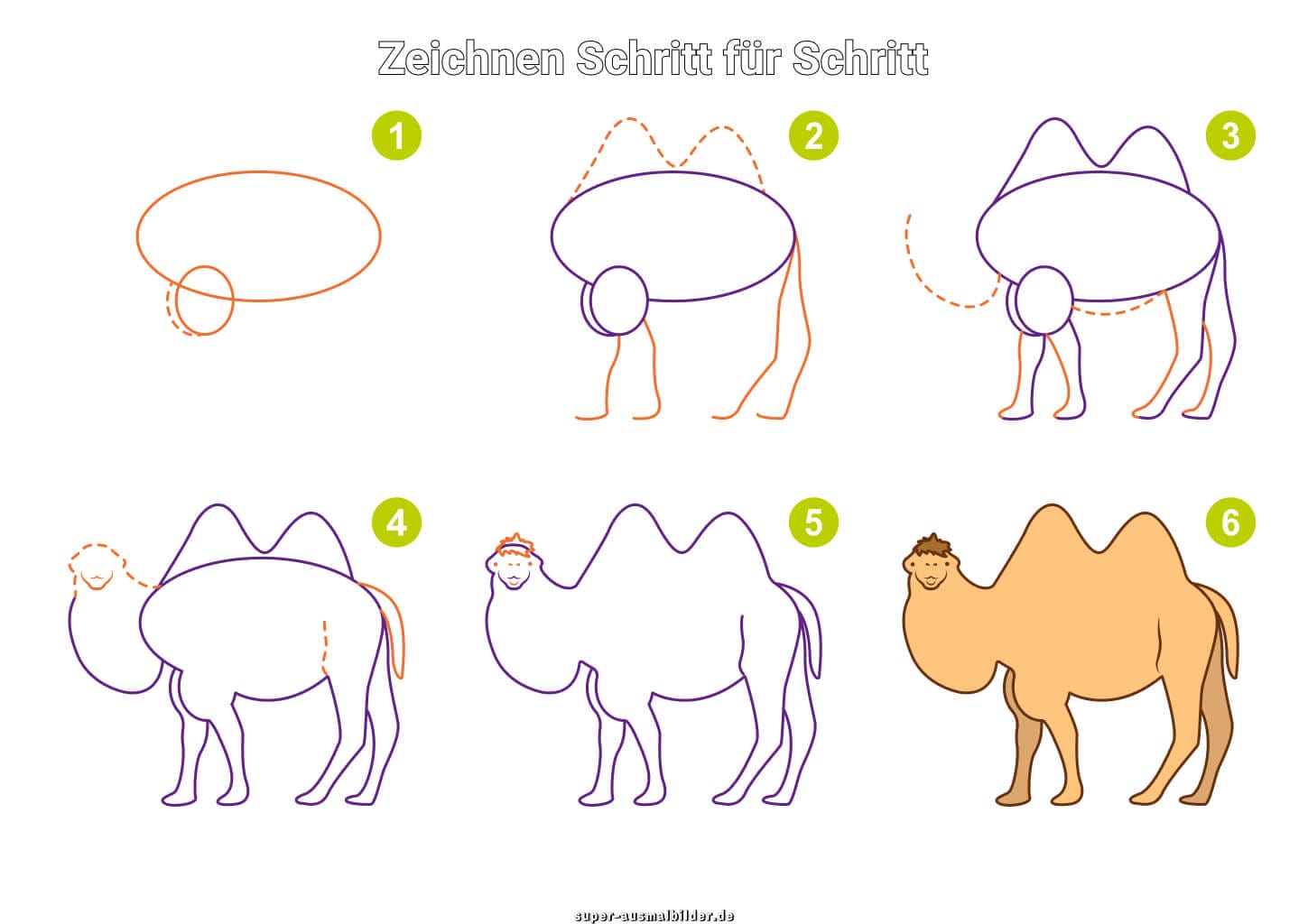 Kamel zeichnen Schritt für Schritt – einfache Zeichenanleitung für Kinder mit zwei Höckern