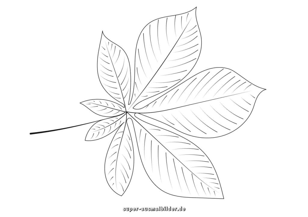 Kastanienblatt Malvorlage – großes zusammengesetztes Blatt zum Ausmalen, kostenlose Herbstbilder für Kinder