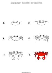 Krabbe zeichnen lernen Schritt für Schritt