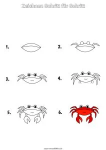 Krabbe zeichnen lernen Schritt für Schritt