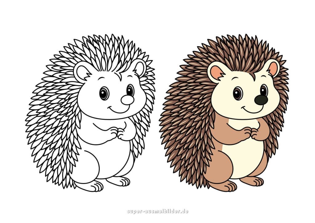 Lustiger Igel Ausmalbild – süßer kleiner Igel in zwei Versionen, bunt und schwarz weiß, ideal für Kinder zum Herunterladen und Ausmalen
