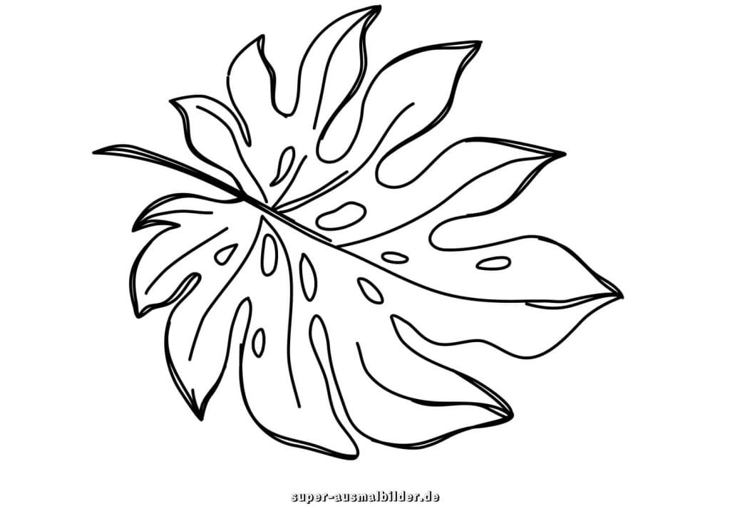 Monstera Blatt Malvorlage – tropisches Blatt mit Löchern, kreative Ausmalbilder kostenlos für Kinder