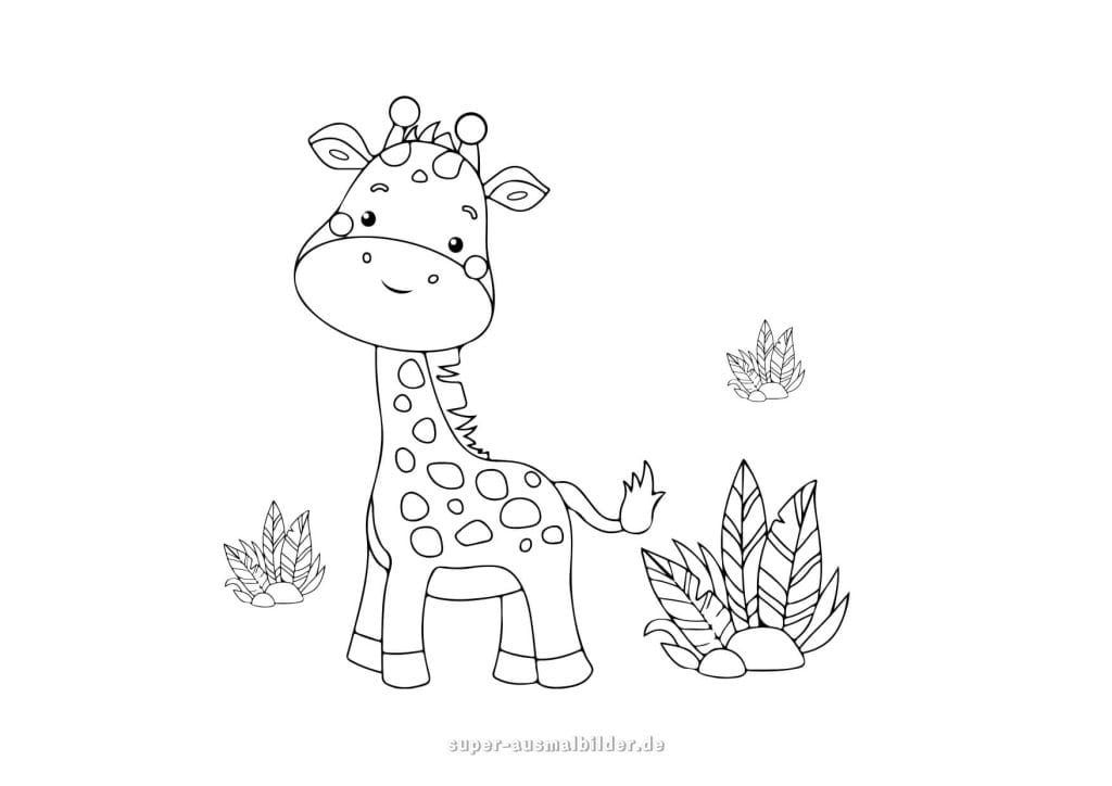 Niedliche Baby Giraffe Ausmalbild – freundliche kleine Giraffe zwischen Pflanzen, einfache und kostenlose Malvorlage für Vorschulkinder