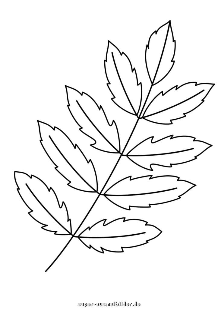 Rosskastanienblatt Malvorlage – großes zusammengesetztes Blatt, Herbst Ausmalbild zum kostenlosen Download