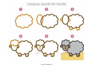 Schaf zeichnen lernen Schritt für Schritt