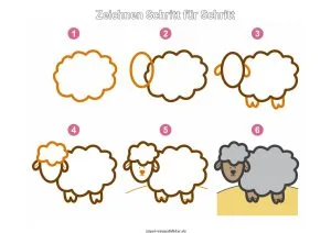 Schaf zeichnen lernen Schritt für Schritt