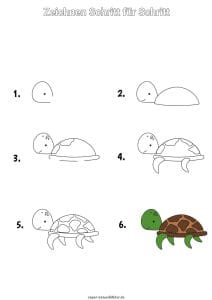 Schildkröte zeichnen lernen Schritt für Schritt
