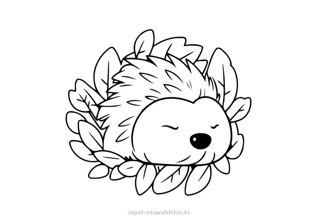 Schlafender Igel – kleiner Igel schläft gemütlich in einem Bett aus Blättern, perfekte Herbstmalvorlage zum Ausmalen