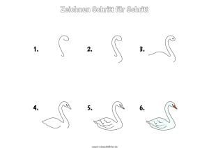 Schwan zeichnen lernen Schritt für Schritt