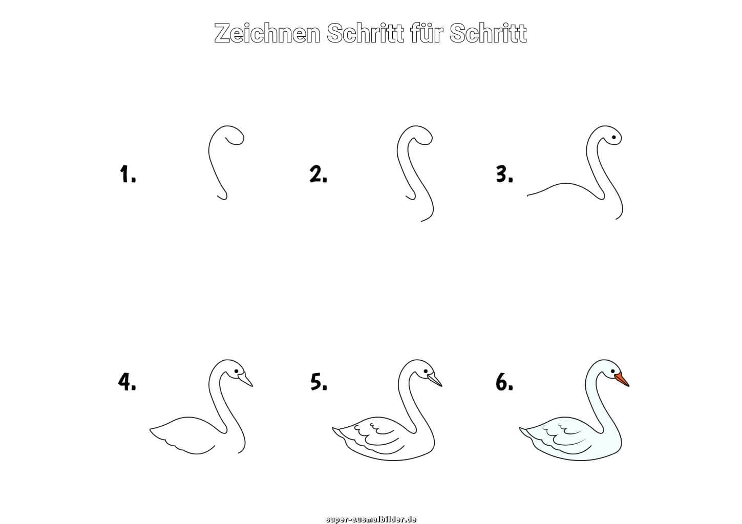 Schwan zeichnen Schritt für Schritt – einfache Anleitung für Kinder mit elegantem weißen Schwan