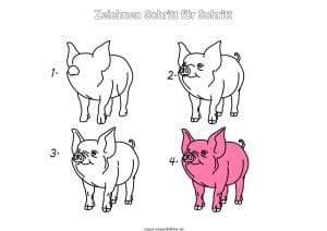 Schwein zeichnen lernen Schritt für Schritt