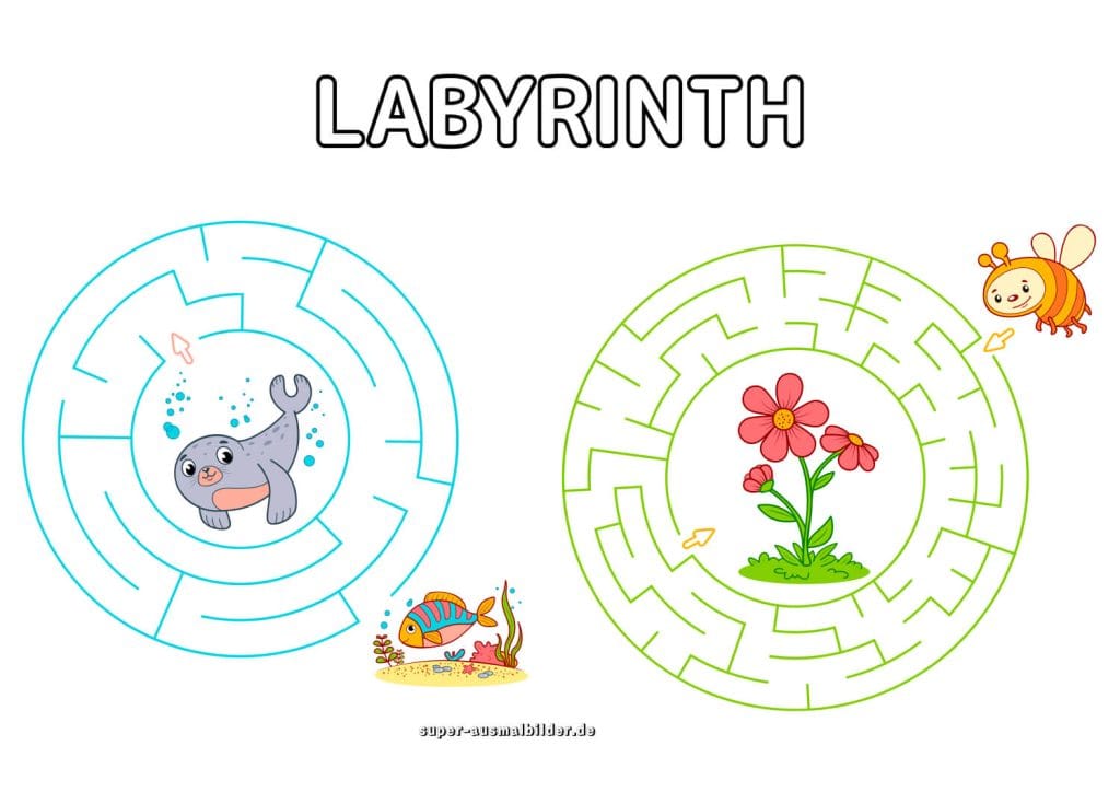 Seehund und Blume Labyrinth lustige Tierlabyrinthe für Vorschule zum kostenlosen Download