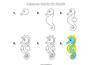 Seepferdchen zeichnen lernen Schritt für Schritt