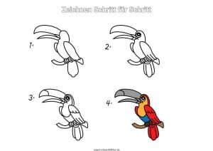 Tukan zeichnen lernen Schritt für Schritt