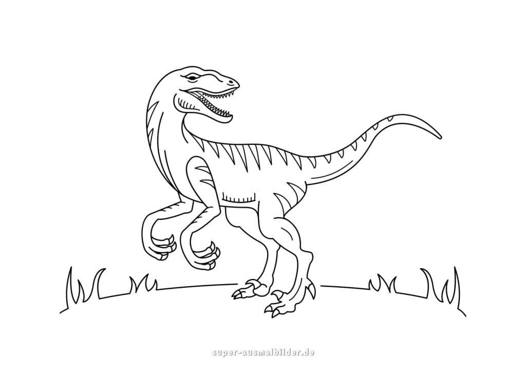 Velociraptor Ausmalbild – gefährlicher Raubdinosaurier mit scharfen Krallen, detailreiche Jurassic Malvorlage für Dino Fans, gratis drucken oder herunterladen