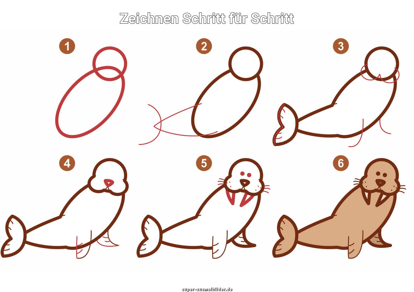 Walross zeichnen Schritt für Schritt – einfache Anleitung für Kinder mit süßem braunen Walross