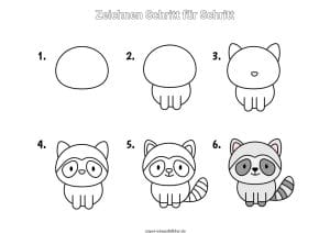 Waschbär zeichnen lernen Schritt für Schritt